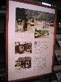 IMG_9633.jpg